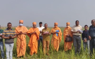 Worship at Temple Site